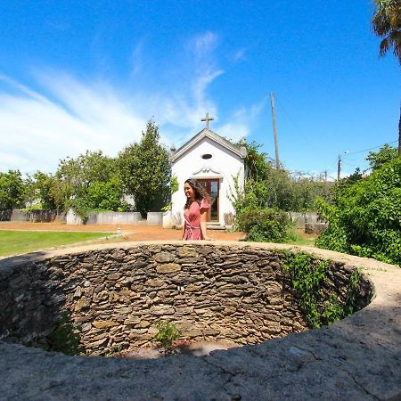 Quinta Da Aldeia De Avanca Bagian luar foto