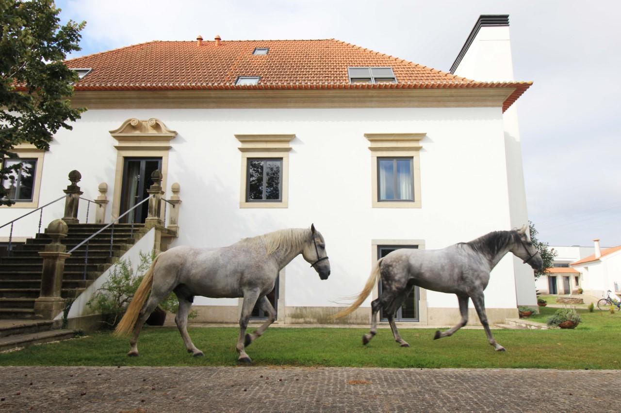 Quinta Da Aldeia De Avanca Bagian luar foto