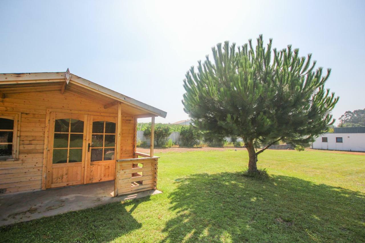 Quinta Da Aldeia De Avanca Bagian luar foto